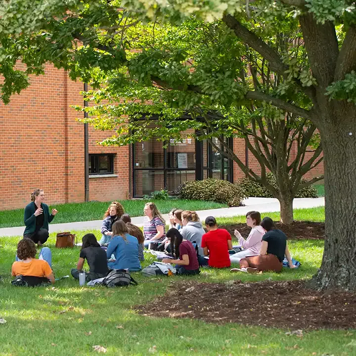 Students sitting outside under the shade of trees.